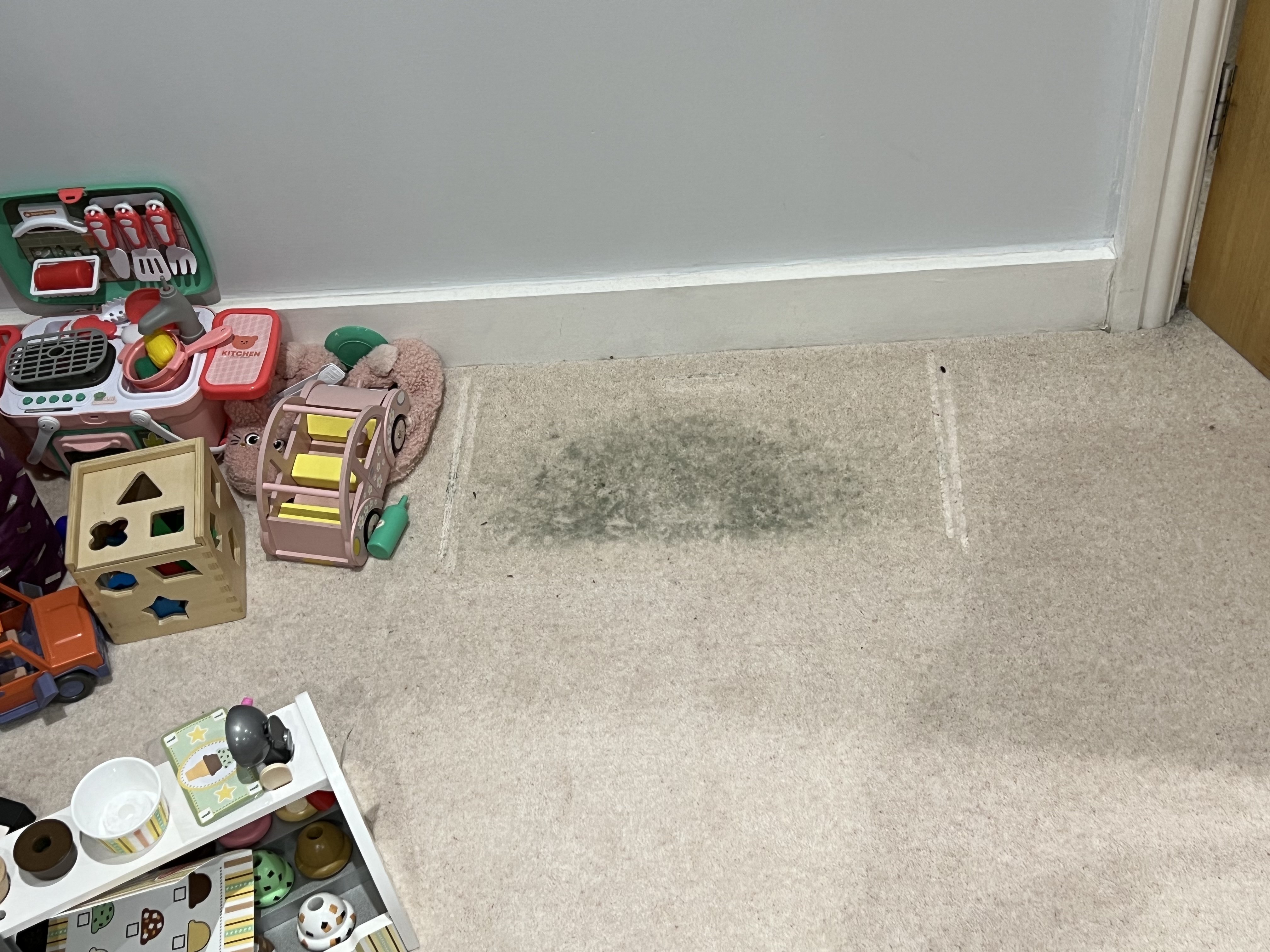 Mould spreading through the living room carpet — the damage the insurer didn't see for six weeks
